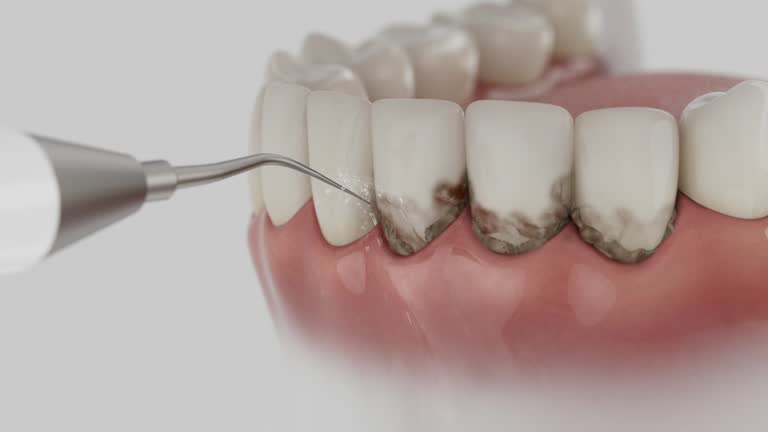 Reliable Dental contractor in Konterra, MD by Dentist Open Now